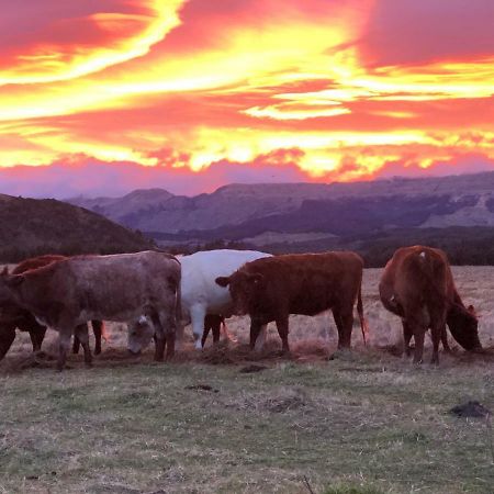 Mohaka River Farm Te Haroto Экстерьер фото
