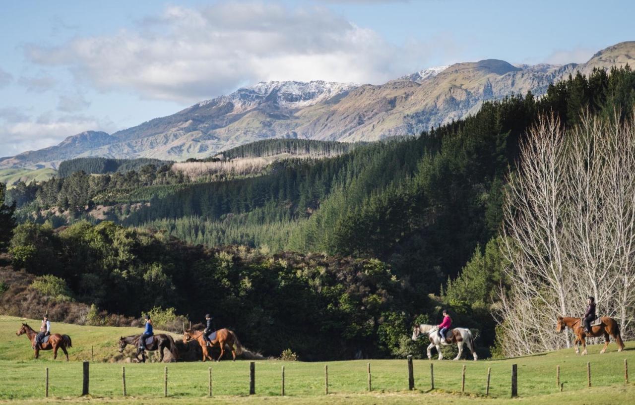 Mohaka River Farm Te Haroto Экстерьер фото