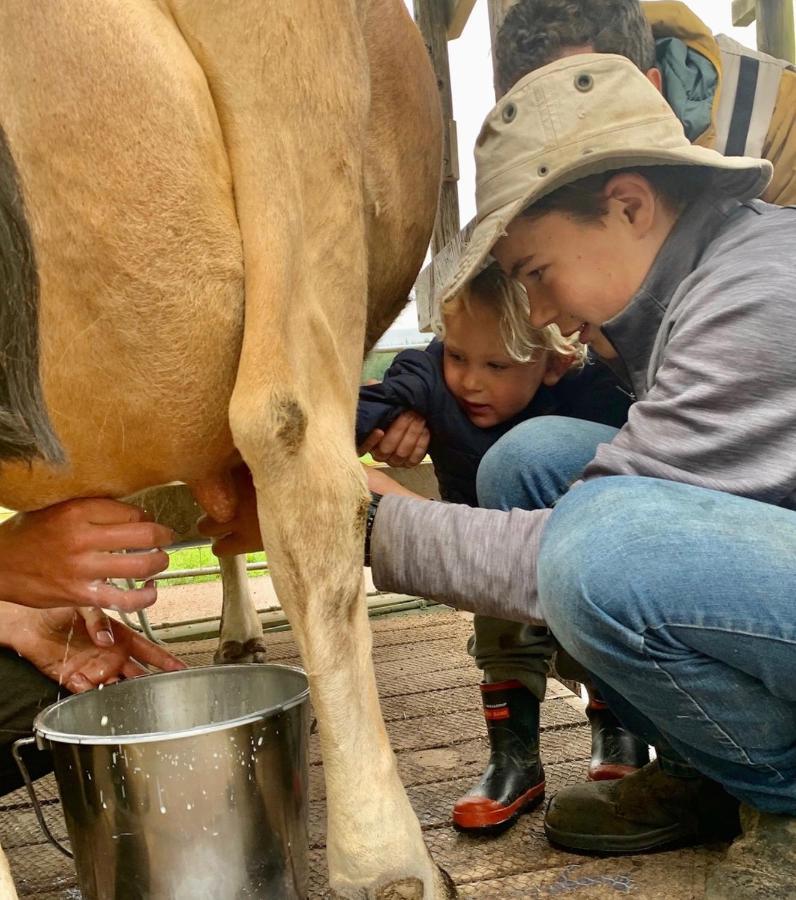 Mohaka River Farm Te Haroto Экстерьер фото