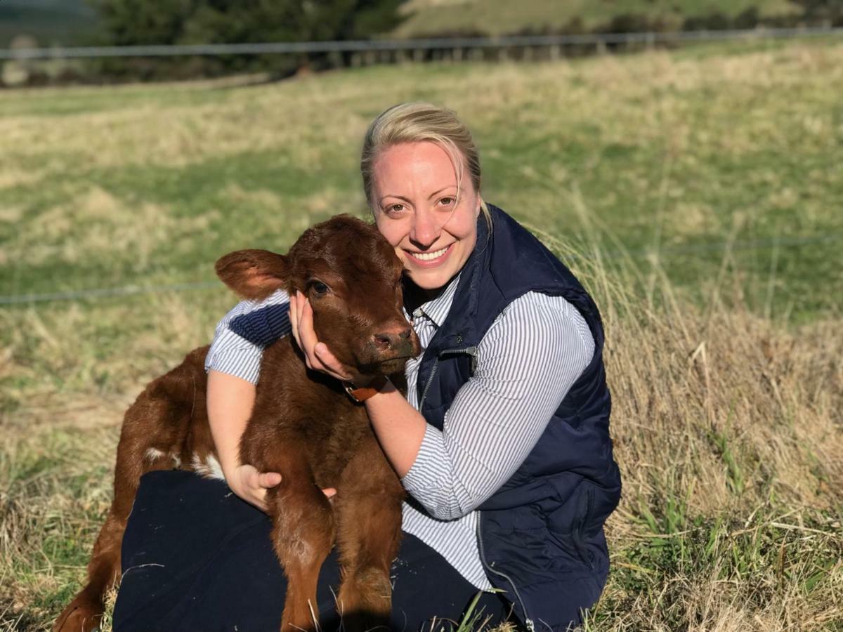 Mohaka River Farm Te Haroto Экстерьер фото