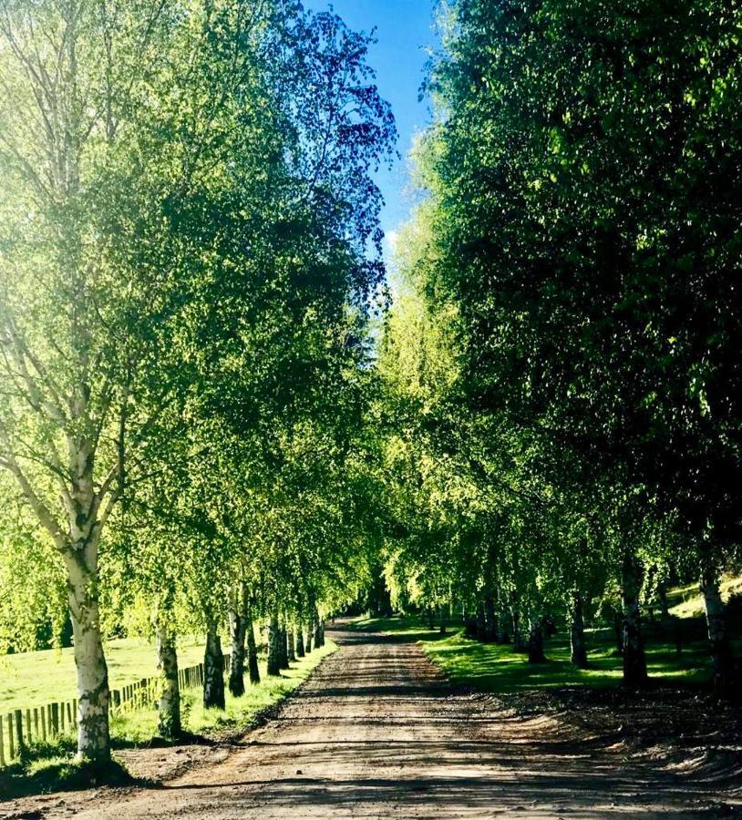 Mohaka River Farm Te Haroto Экстерьер фото